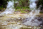 Azzorre - Isola Sao Miguel, Furnas. Le fumarole nei pressi del Lago di Furnas. 